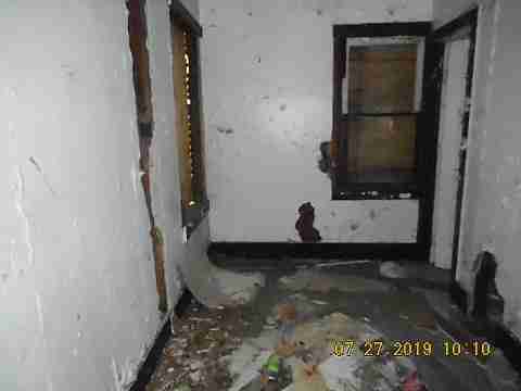 16737 Dolphin (13)_m.jpg